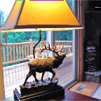 Stag Lamp Room (1 of 1)